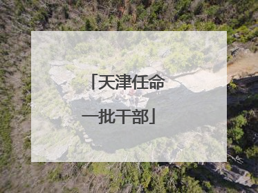 天津任命一批干部