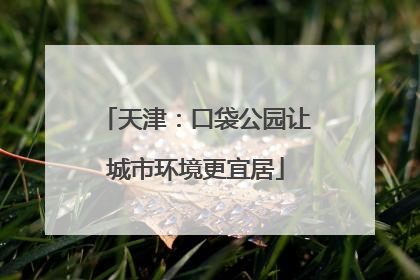 天津：口袋公园让城市环境更宜居