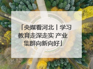 央媒看河北丨学习教育走深走实 产业集群向新向好