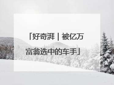 好奇湃｜被亿万富翁选中的车手