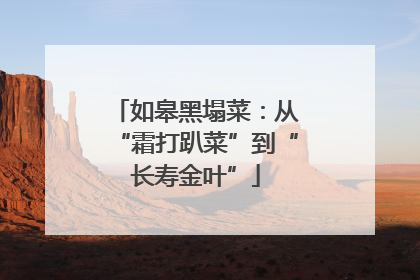 如皋黑塌菜：从“霜打趴菜”到“长寿金叶”