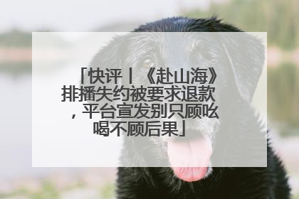 快评丨《赴山海》排播失约被要求退款，平台宣发别只顾吆喝不顾后果