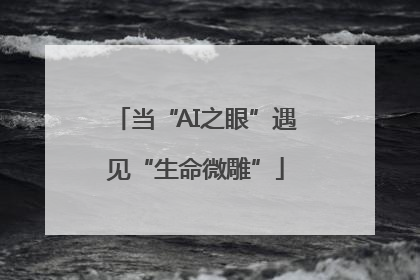 当“AI之眼”遇见“生命微雕”