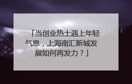 当创业热土遇上年轻气息，上海南汇新城发展如何再发力？