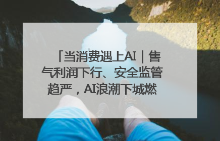 当消费遇上AI｜售气利润下行、安全监管趋严，AI浪潮下城燃企业如何破局