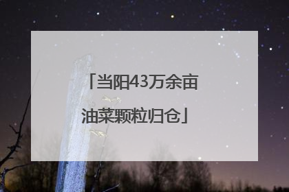 当阳43万余亩油菜颗粒归仓