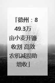德州：849.3万亩小麦开镰收割 高效农机减损助增收