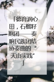 德育润心田，石榴籽抱团——奏响民族团结协奏曲的“天山实践”