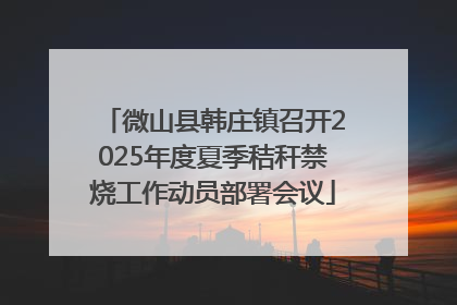 微山县韩庄镇召开2025年度夏季秸秆禁烧工作动员部署会议