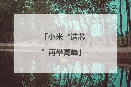 小米“造芯”再攀高峰