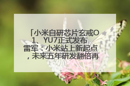 小米自研芯片玄戒O1、YU7正式发布 雷军：小米站上新起点，未来五年研发翻倍再投2000亿元