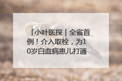 小叶医探｜全省首例！介入取栓，为10岁白血病患儿打通生命之“脉”