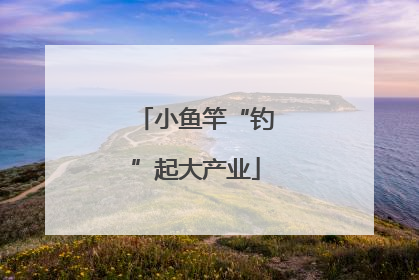 小鱼竿“钓”起大产业