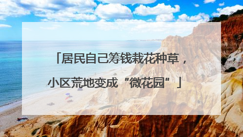 居民自己筹钱栽花种草，小区荒地变成“微花园”