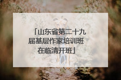 山东省第二十九届基层作家培训班在临清开班