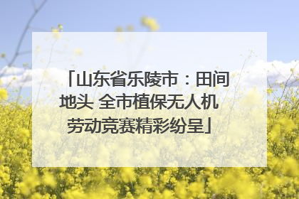 山东省乐陵市：田间地头 全市植保无人机劳动竞赛精彩纷呈