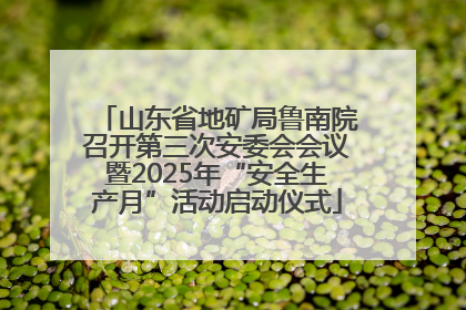山东省地矿局鲁南院召开第三次安委会会议暨2025年“安全生产月”活动启动仪式