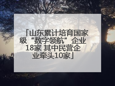 山东累计培育国家级“数字领航”企业18家 其中民营企业牵头10家