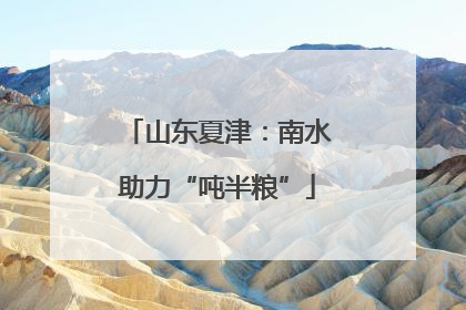 山东夏津：南水助力“吨半粮”