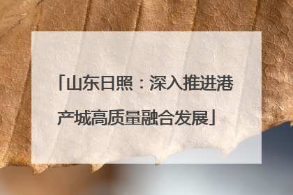 山东日照：深入推进港产城高质量融合发展
