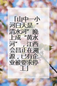 山中一小河白天是“清水河”晚上成“黄水河”，江西会昌正在溯源，已有企业被要求停工