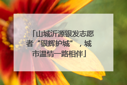 山城沂源银发志愿者“银辉护城”，城市温情一路相伴