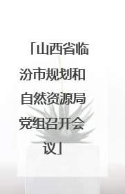 山西省临汾市规划和自然资源局党组召开会议