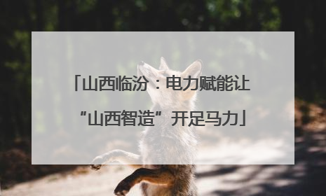 山西临汾：电力赋能让“山西智造”开足马力