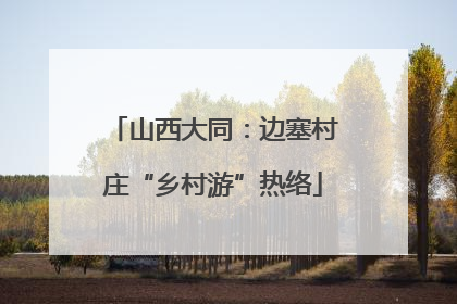 山西大同：边塞村庄“乡村游”热络