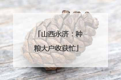 山西永济：种粮大户收获忙