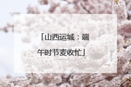 山西运城：端午时节麦收忙