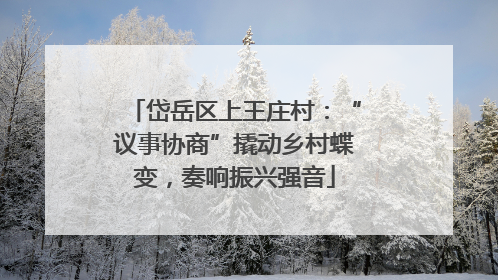 岱岳区上王庄村：“议事协商”撬动乡村蝶变，奏响振兴强音