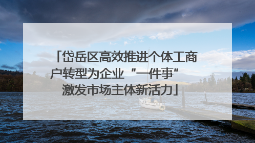 岱岳区高效推进个体工商户转型为企业“一件事” 激发市场主体新活力