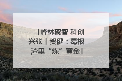 峰林聚智 科创兴张丨贺健：葛根渣里“炼”黄金