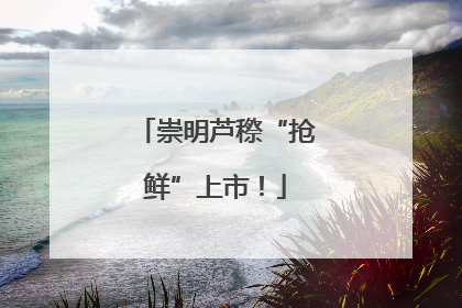 崇明芦穄“抢鲜”上市！