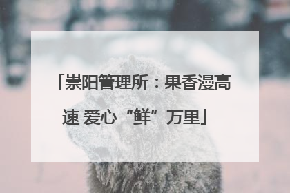 崇阳管理所：果香漫高速 爱心“鲜”万里