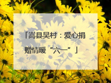 嵩县吴村：爱心捐赠情暖“六一”