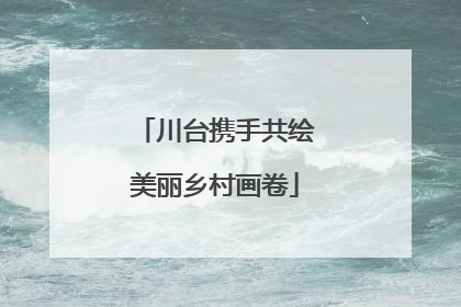 川台携手共绘美丽乡村画卷