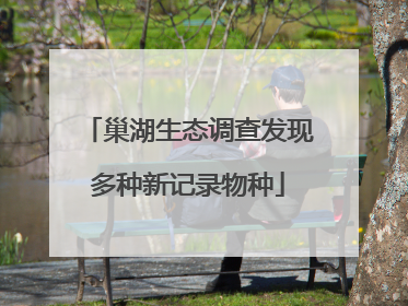 巢湖生态调查发现多种新记录物种
