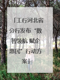 工行河北省分行发布“数智领航 赋企惠民”行动方案