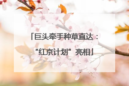 巨头牵手种草直达：“红京计划”亮相