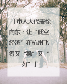 市人大代表徐向东：让“低空经济”在杭州飞得又“稳”又“好”