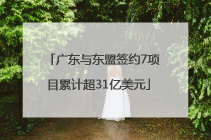 广东与东盟签约7项目累计超31亿美元