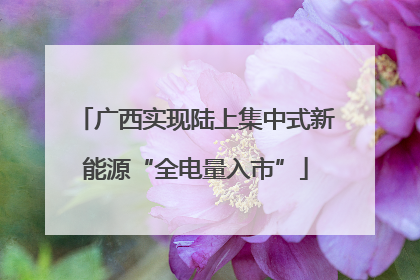 广西实现陆上集中式新能源“全电量入市”