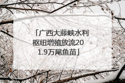 广西大藤峡水利枢纽增殖放流201.9万尾鱼苗