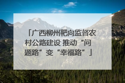 广西柳州靶向监督农村公路建设 推动“问题路”变“幸福路”