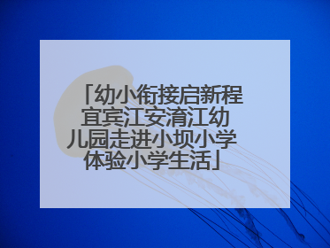 幼小衔接启新程 宜宾江安淯江幼儿园走进小坝小学体验小学生活