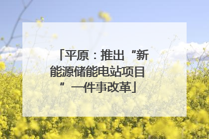 平原：推出“新能源储能电站项目”一件事改革