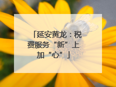 延安黄龙：税费服务“新”上加“心”
