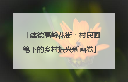 建德高岭花街：村民画笔下的乡村振兴新画卷